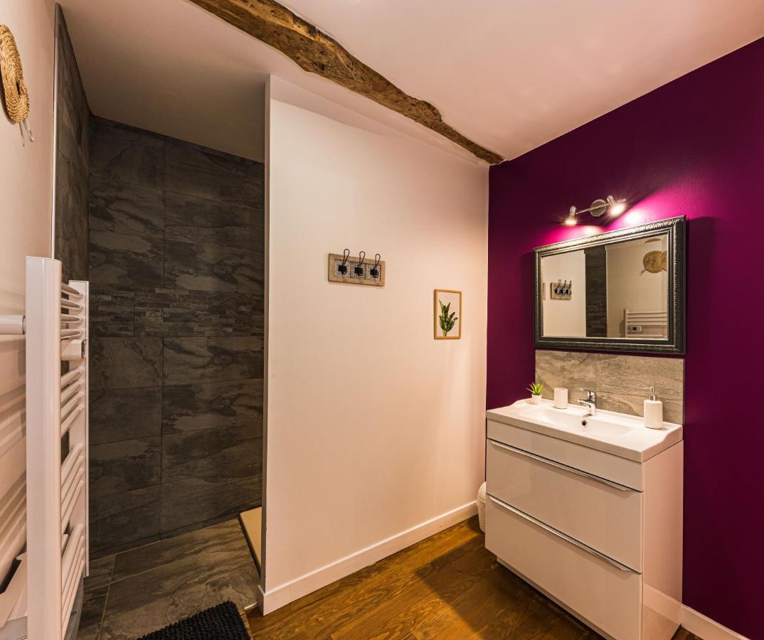 Les Gites Du Chateau - L Appartement Du Roi - Magnifique Appartement Face Au Chateau Nérac Екстериор снимка